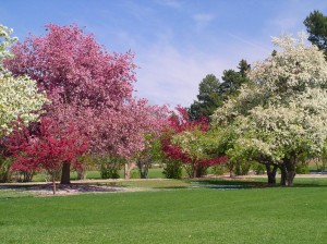 Spring comes to City Park.