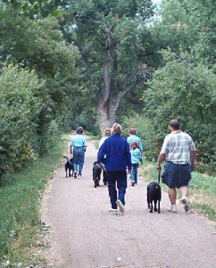 Guide dogs leash training on the Highline Canal Trail.